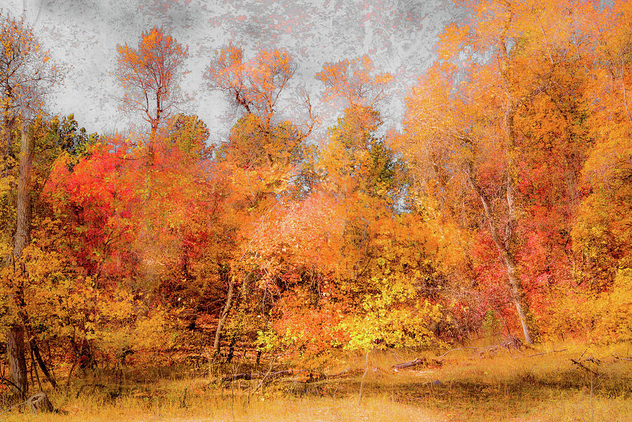 fourth of july canyon fall color 2025