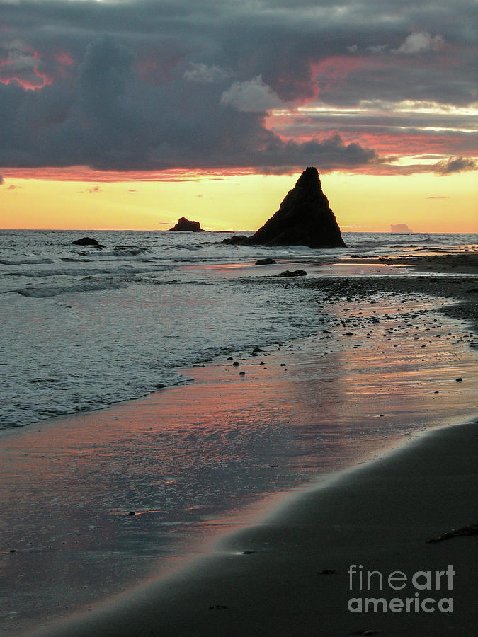Olympic National Park Photograph - Seastack in Sunset on the Wilderness Coast by Nancy Gleason