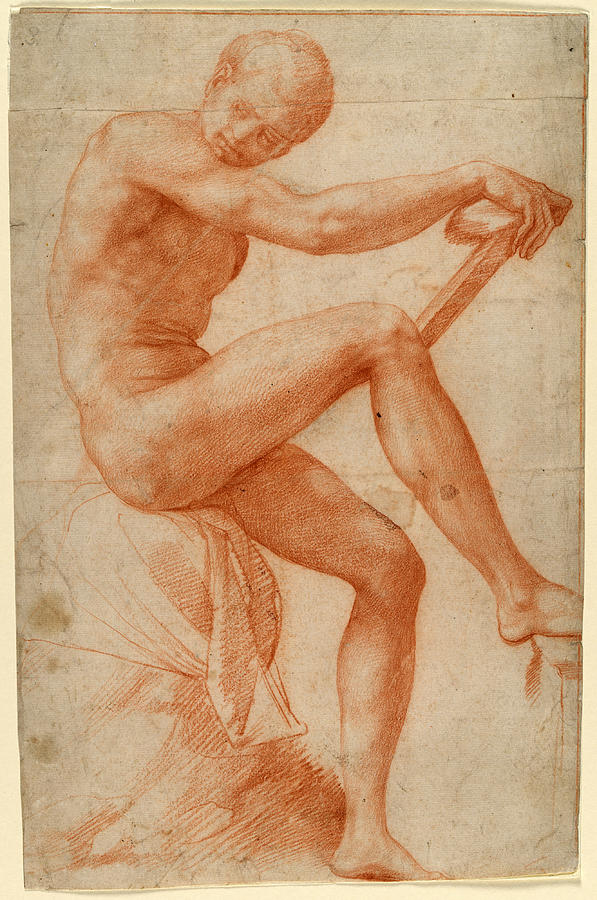 Seated Male Nude Drawing by Francesco Salviati