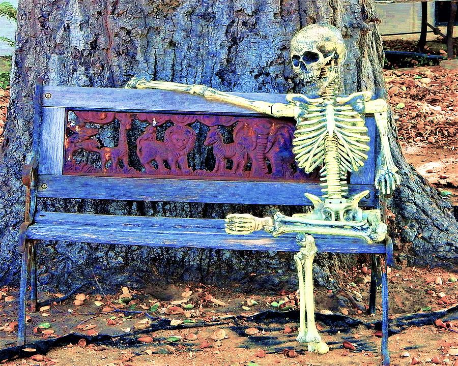 Seated Skeleton Photograph by Andrew Lawrence