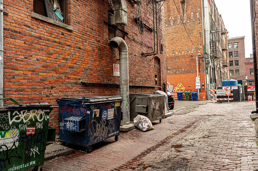 Seattle Alley  Photograph by Frank Winters