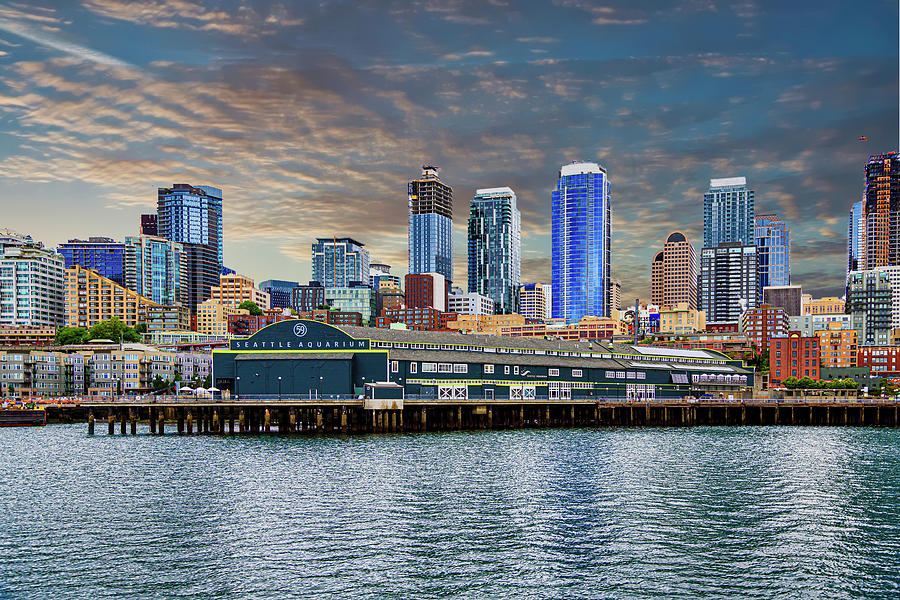 Seattle Aquarium and Skyline Photograph by Darryl Brooks