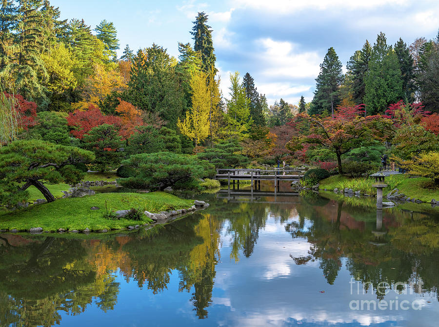 Seattle Arboretum Japanese Garden Fall Colors Photograph by Mike Reid ...