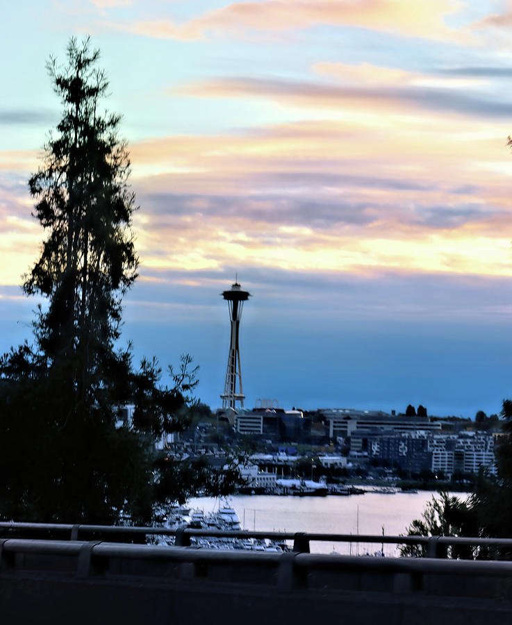 Seattle at Sunset  Photograph by Cathy Anderson