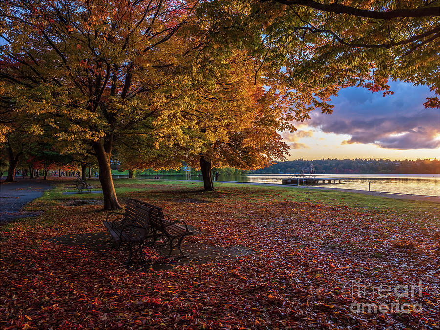 Seattle Green Lake Fall Colors Photograph by Mike Reid