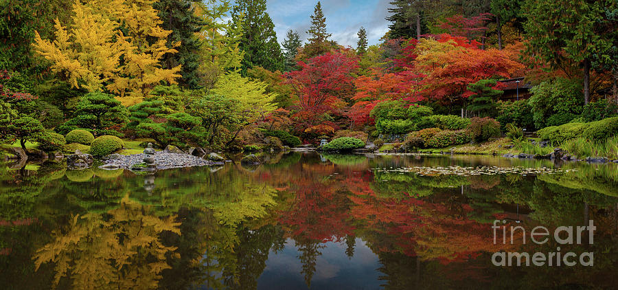 Seattle Japanese Garden Reflection Photograph by Mike Reid