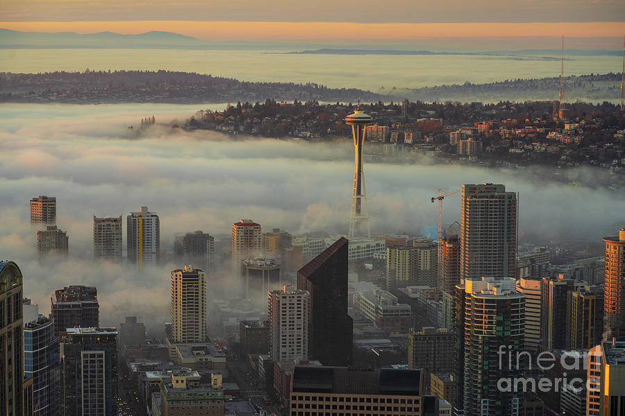 Seattles Belltown in the Fog Photograph by Mike Reid