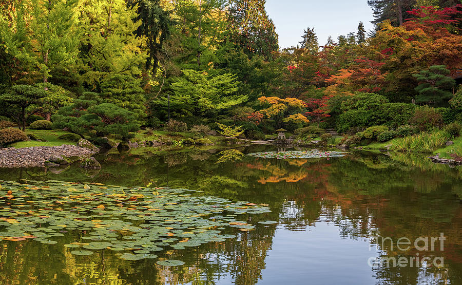 Seattles Japanese Garden Fall Colors Panorama Photograph by Mike Reid ...