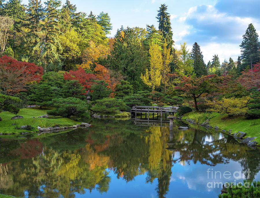 Seattles Japanese Garden Fall Colors Turning Photograph by Mike Reid ...