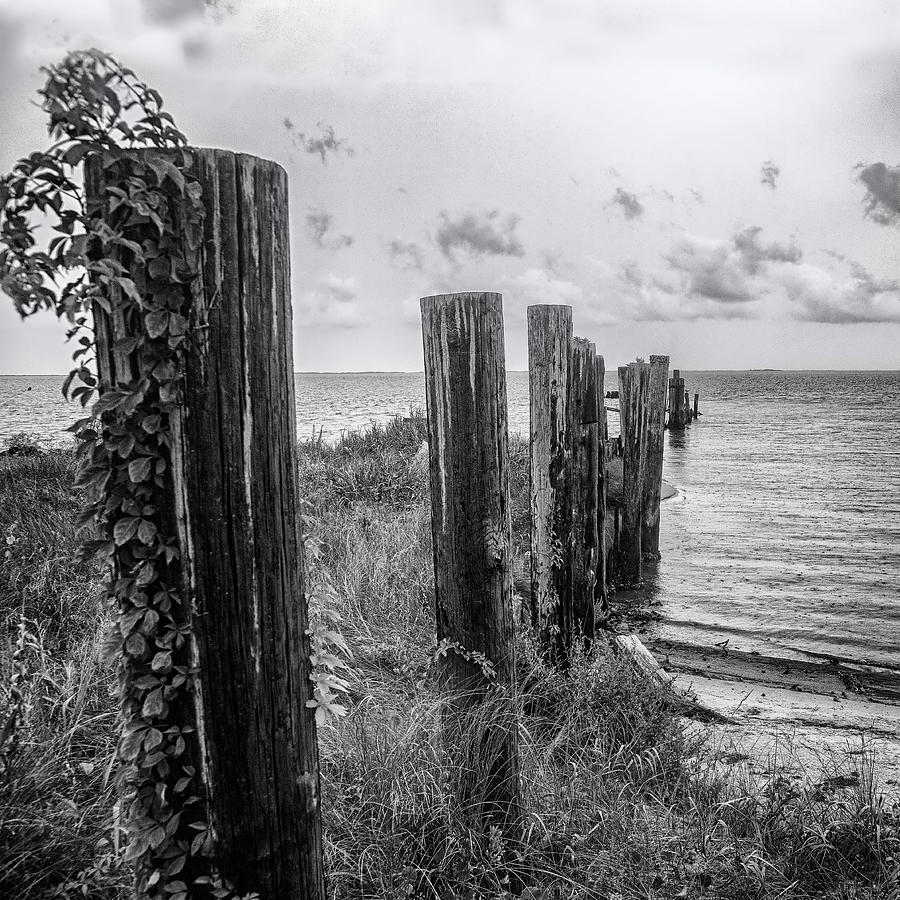 Seawall Ruins in Black and White Photograph by Bob Decker