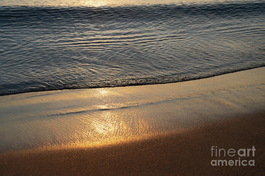 Seawater meets golden brown sand 1 Photograph by Adriana Mueller