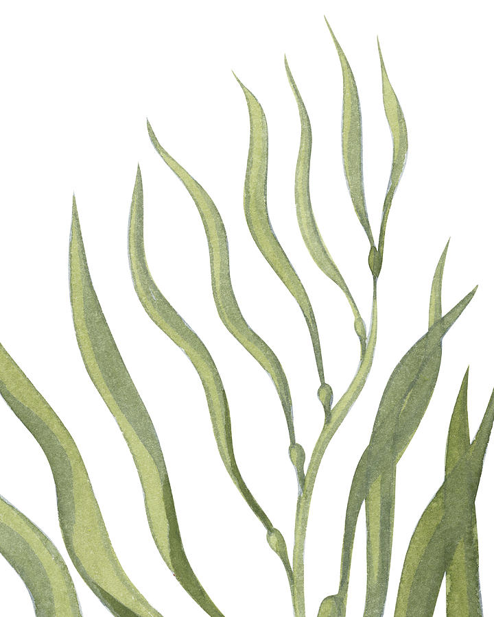 Seaweed Flow Watercolor IV Painting by Irina Sztukowski