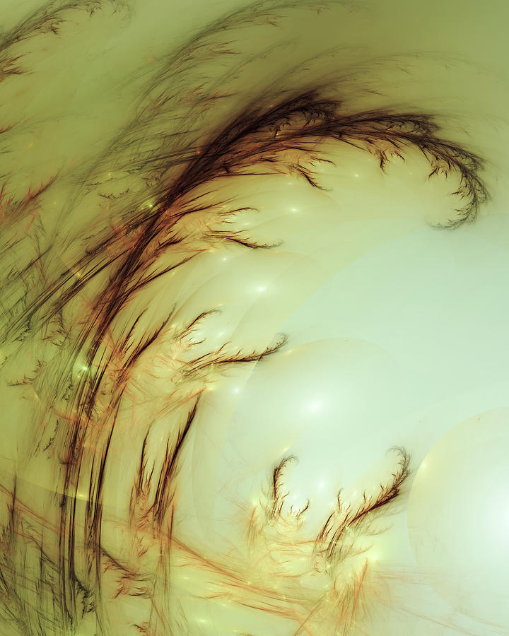 Seaweed Digital Art by Jo Voss