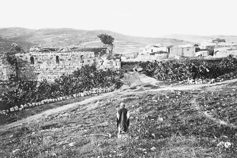 Sebastia Before 1882 Photograph by Munir Alawi
