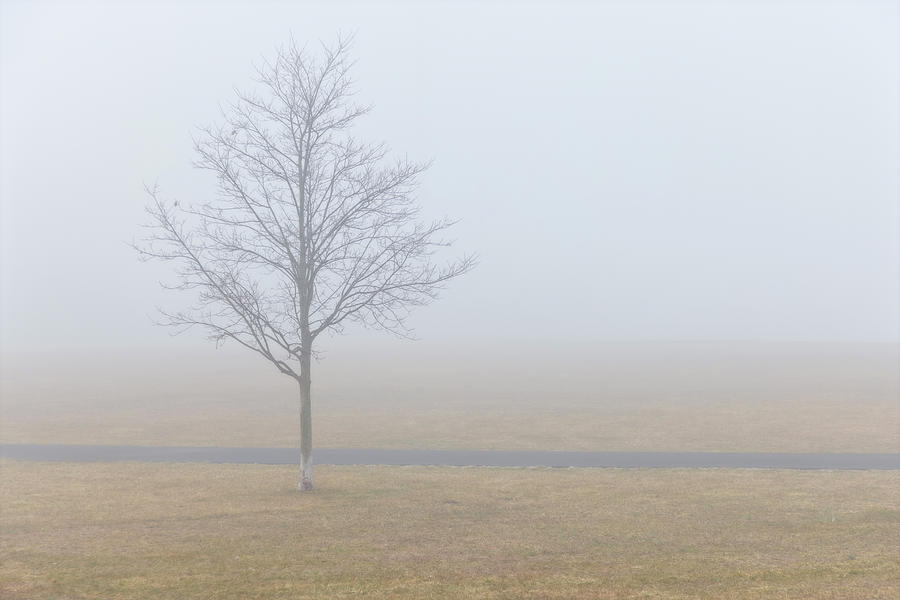 Secaucus Morning Fog Photograph by Susan Candelario