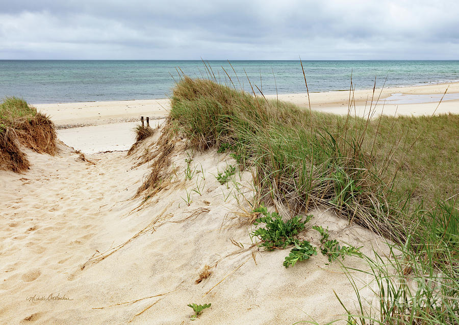 Secluded Beach Cape Cod Photograph by Michelle Constantine