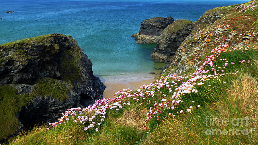 Nature Photograph - Secluded Cornish Beach by Christopher Gill