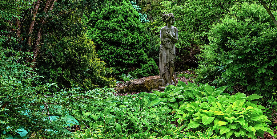 Secluded Garden Photograph by Greg Reed