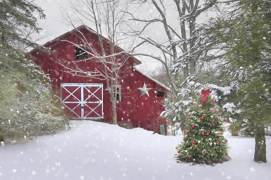 Christmas Photograph - Secluded by Lori Deiter