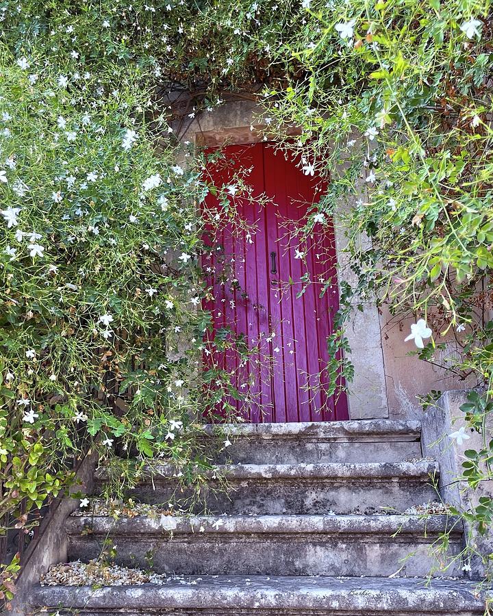 Secluded Red Door off the Courtyard Photograph by Barbie Corbett-Newmin