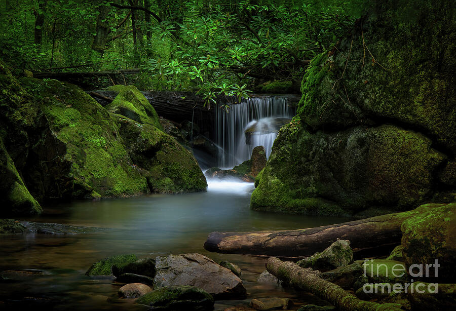 Secluded Waterfall Photograph by Shelia Hunt