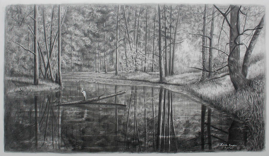Seclusion Drawing by Lena Auxier