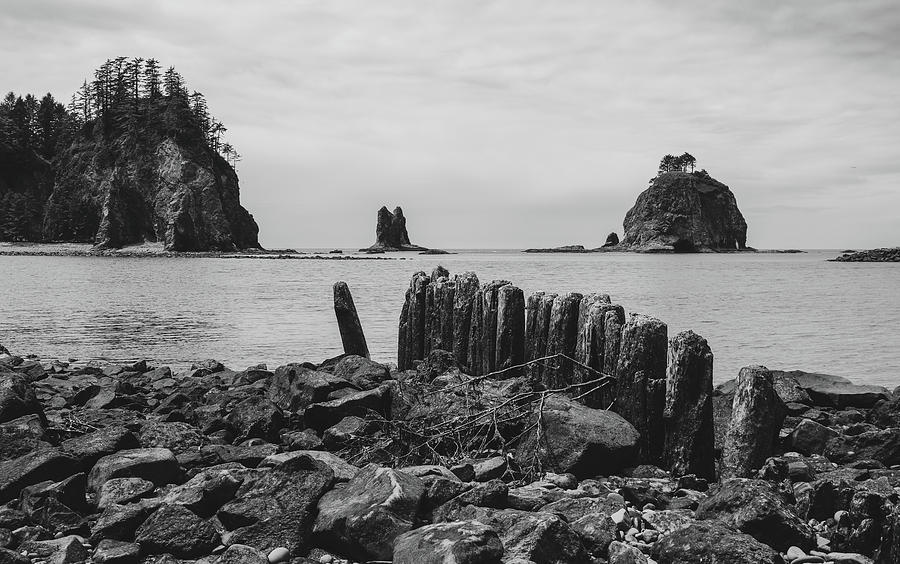 Olympic National Park Photograph - Second Beach Washington Black And White by Dan Sproul