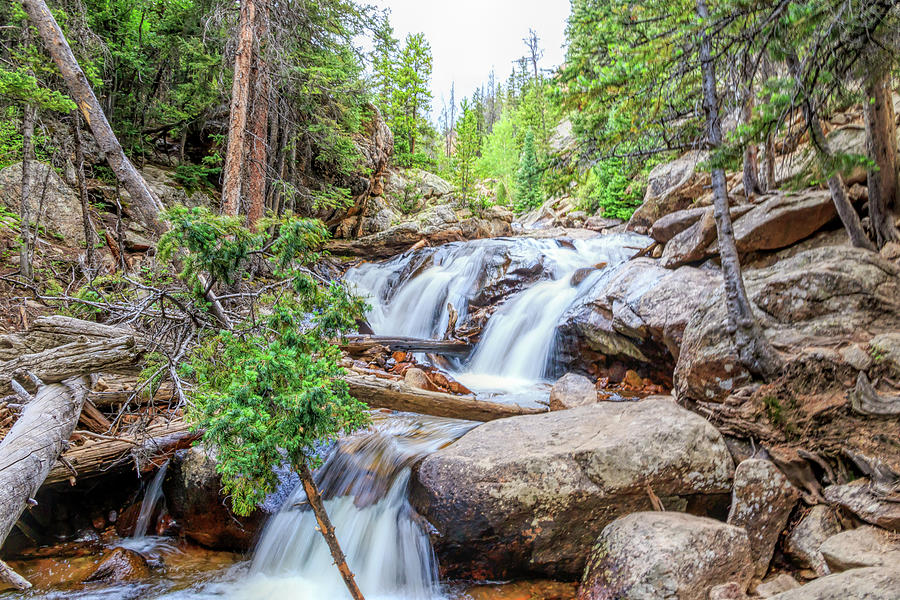 Secondary Fall at Chasm Falls Along Fall River in Rocky Mountain Photograph by Peter Ciro