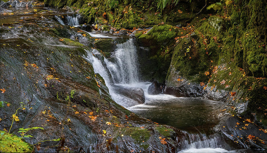 Secret Falls Photograph by Bill Posner