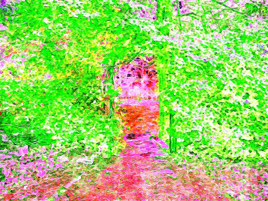 Secret Garden Digital Painting Digital Art