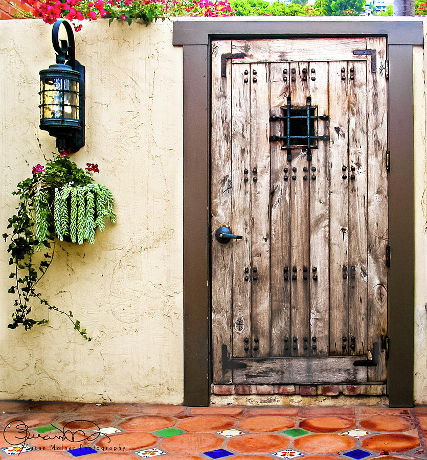 Secret Garden Doorway Photograph by Susan Molnar