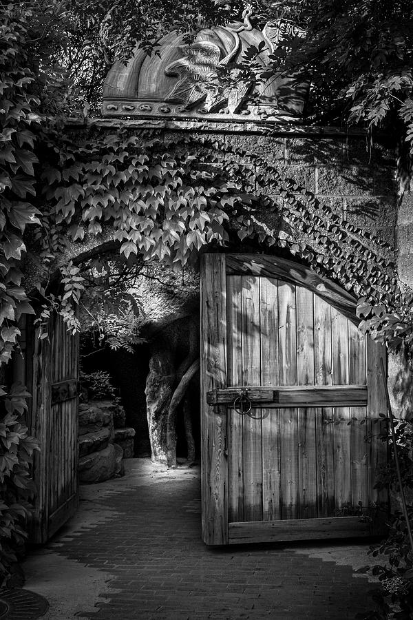Secret Garden Gate Photograph by Mary Lee Dereske
