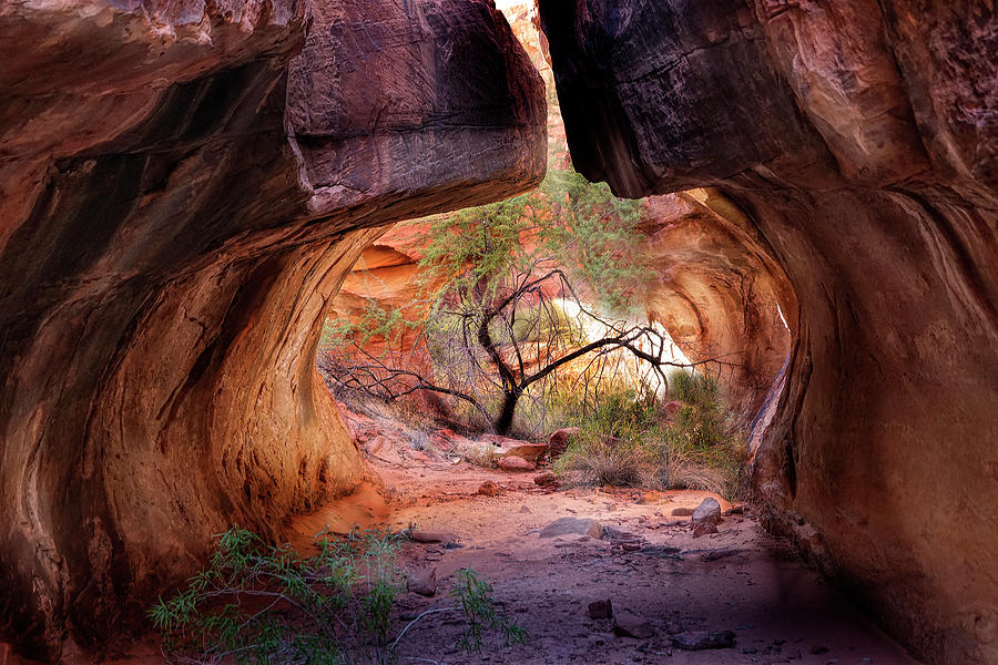 Secret Grotto Photograph by Deborah Jahier