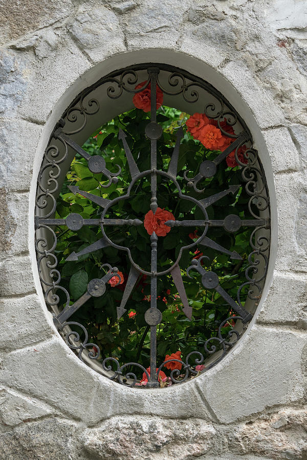 Secret Rose Garden Through an Elegantly Barred Fence Window Photograph by Georgia Mizuleva