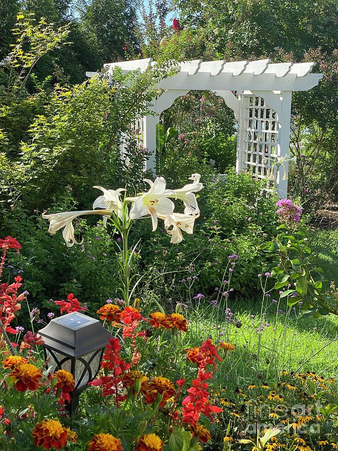 Secret Garden Swing - Clayton, North Carolina  Photograph by Catherine Ludwig Donleycott