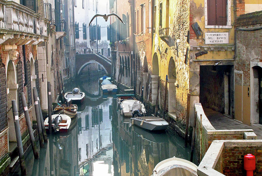 Secret Venice Photograph by Eyes Of CC