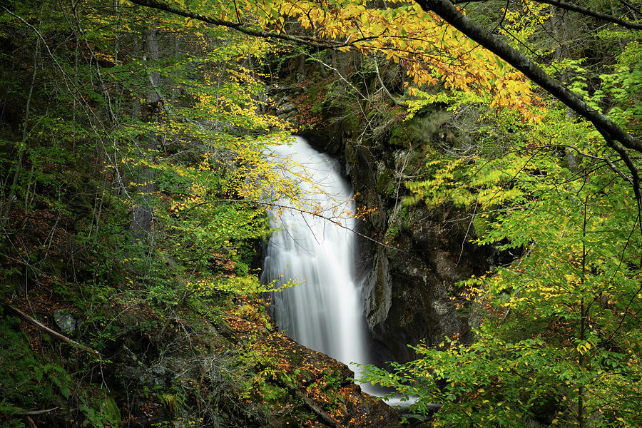 Secret Waterfall Photograph by Jody Partin