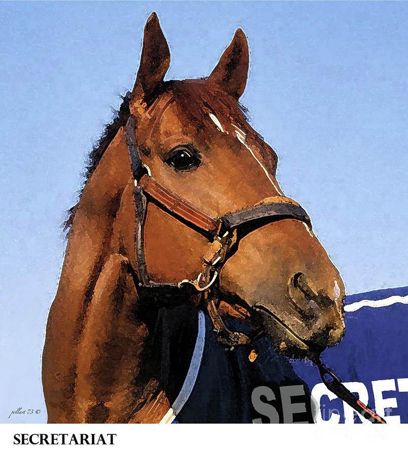 Steve Mcqueen Painting - Secretariat, Belmont Stakes, blue blanket, Thoroughbred Racehorse, Looking Back, Triple Crown Winner by Thomas Pollart