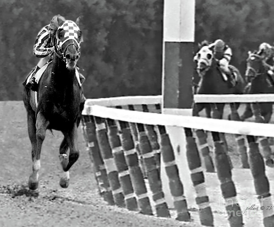 Secretariat, Turns for Home, Belmont Stakes, Looking Back, Triple Crown