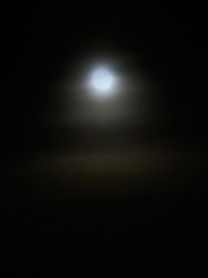 Nature Photograph - Secrets of the moon. Full moon at Parkkuu January 2024. by Jouko Lehto