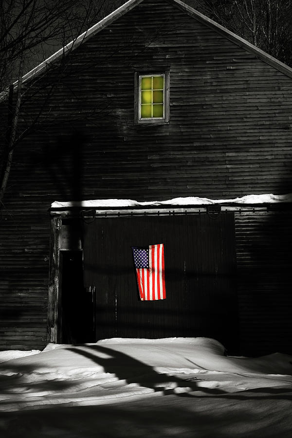 Secrets of the Patriot Photograph by Wayne King
