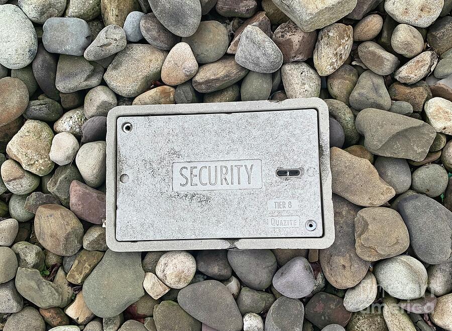 Securely  Photograph by B True Xpressions