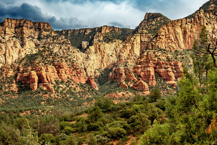 Sedona 10231 Photograph by Bill Gallagher