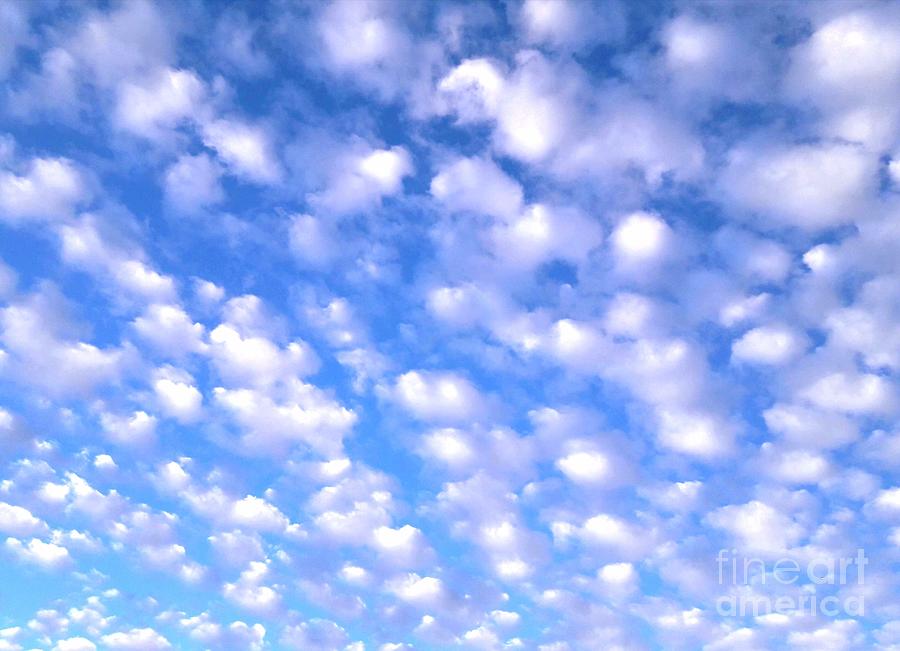 Sedona Arizona BLUE Sky Photograph by Mars Besso