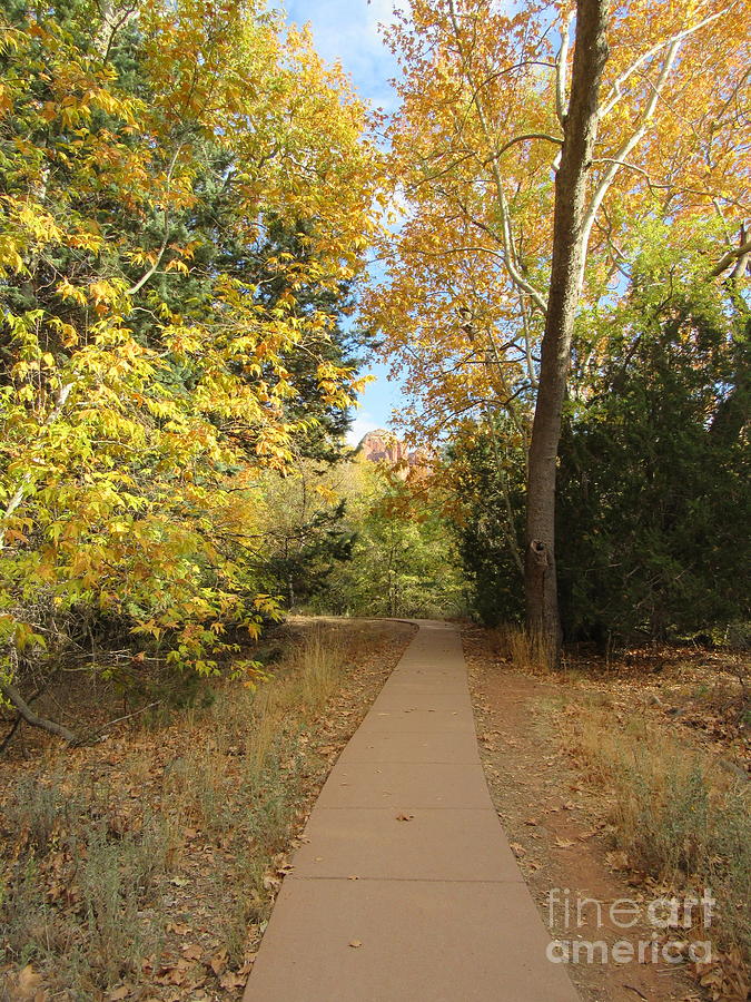 Sedona Autumn walking the path in nature Photograph by Mars Besso