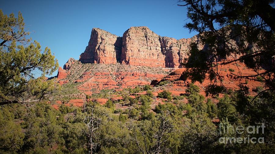 Sedona Bell Rock Loop Photograph by Leslie M Browning
