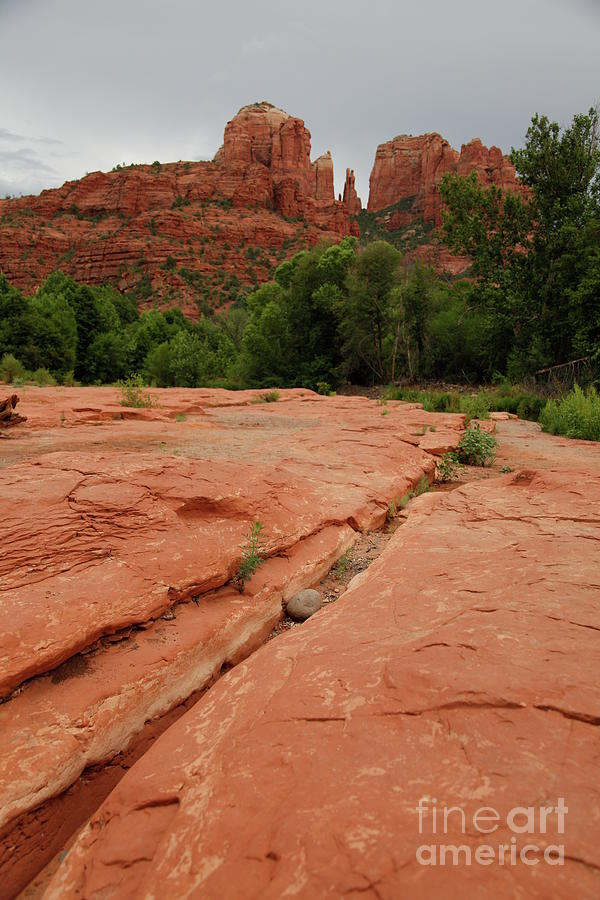 Sedona Cathedral Rock Photograph by Catherine Walters