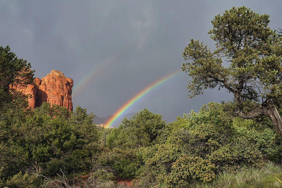 Sedona Rainbow Photograph by Leda Robertson