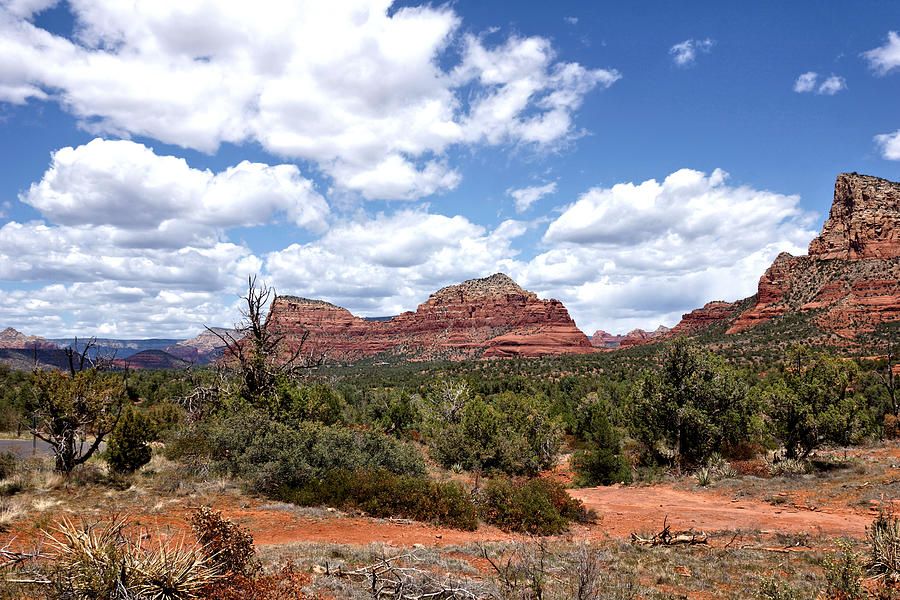 Nature Photograph - Sedona Red Rock And Desert Landscapes 4 by John Trommer