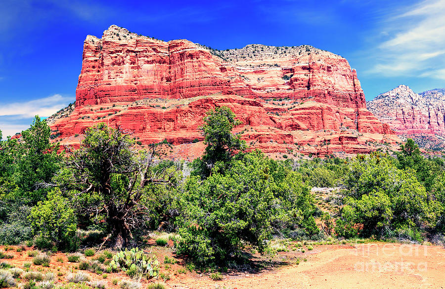 Sedona True Colors in Arizona Photograph by John Rizzuto